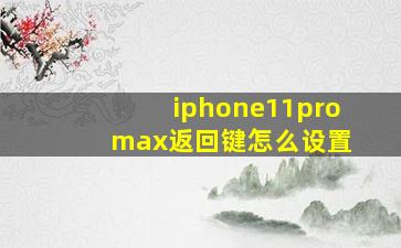 iphone11pro max返回键怎么设置